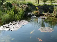 PICT0077.webp