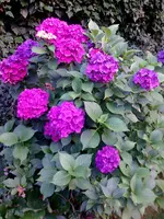 Bild004.webp