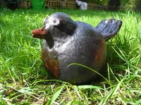Tonvogel.webp