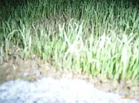 R0010315.webp