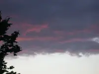 DSCN4834.webp