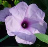 P1010839.webp