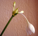 Zwischenablage01.webp