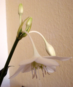 Zwischenablage02.webp