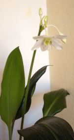 Zwischenablage04.webp