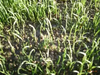 R0010319.webp