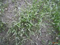 R0010323.webp