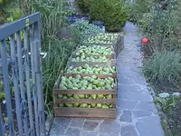 DSC00091.webp