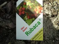 Himbeere Rubaca Sortenetikett.webp