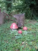 pilz.webp