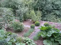 Beerengarten.webp