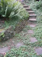 treppe.webp