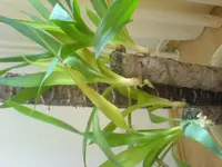 DSC00748.webp