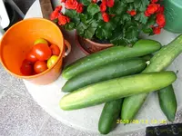 SL270115.webp