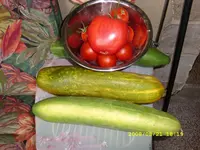 SL270127.webp