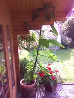 Bild001.webp