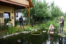 Balavra am Teich.webp