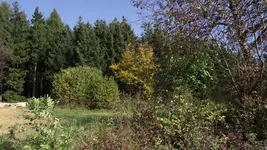 4.10.2010 003.webp