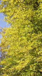 4.10.2010 043.webp