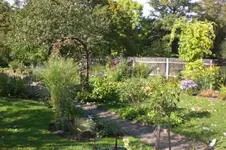 Garten Okt. 2010 020.webp