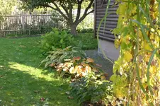 Garten Okt. 2010 025.webp