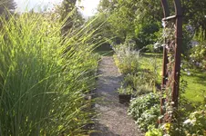 Garten Okt. 2010 027.webp