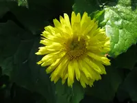 001.webp