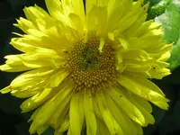 002.webp