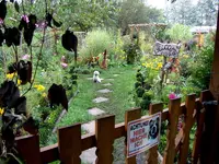 SDC12333.webp