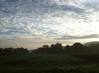 100_2298.webp