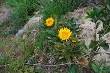 20101004_0114.webp