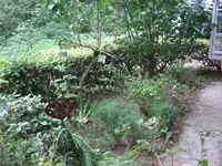 041.webp