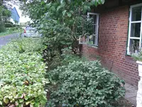 043.webp
