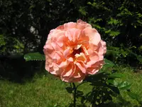 025.webp