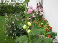 12.09.2010 017.webp