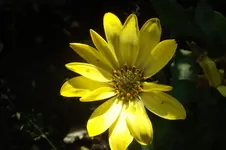 Garten 070.webp