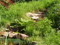 P6230070.webp