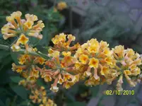 100_2663.webp