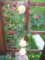 100_2665.webp