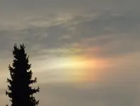 P1060366.webp