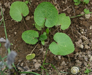 IMG_8524_1.webp