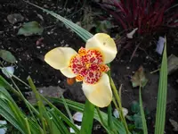 SDC12368.webp
