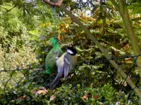 SDC12374.webp