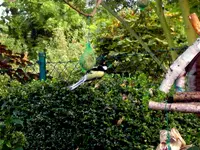 SDC12376.webp