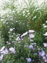 IMG_3027.webp