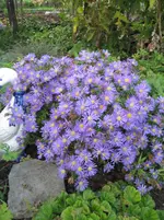 IMG_3028.webp
