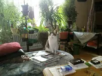 DSC00003.webp
