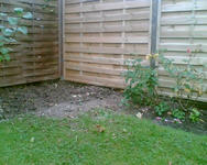 Beetecke.webp