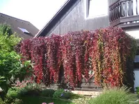 PIC00319.webp