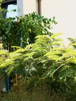 IMG_8374.webp